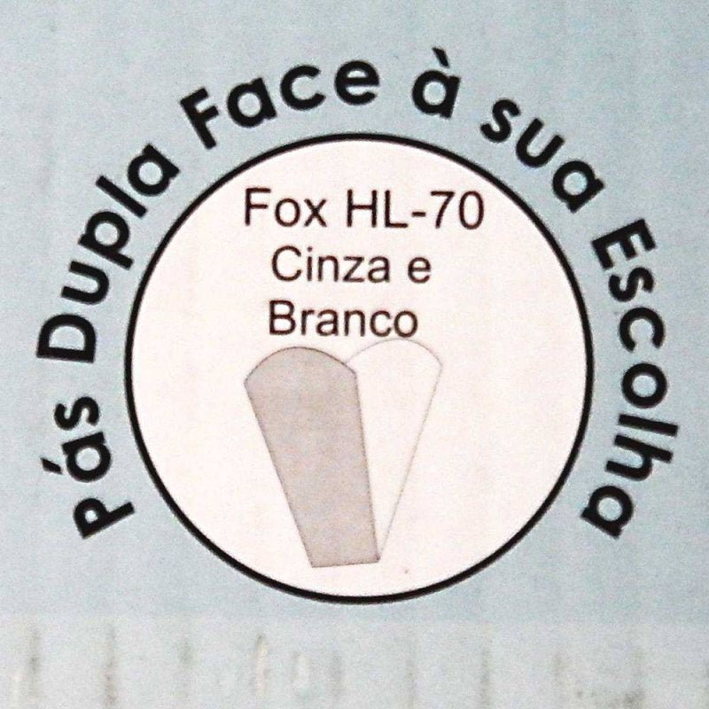 Ventilador Hl-70 com Controle de Parede 2 Lâmpadas E-27 3 Pás Dupla Face (Branco/Cinza) 220V - 6