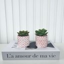 Ver imagem 3 de Decoração Sala Livro Fake + Dupla Vaso Cachepô Rosa Decor