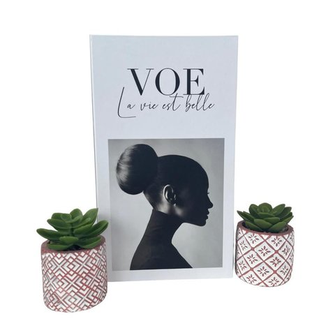 Decoração Sala Livro Fake + Dupla Vaso Cachepô Rosa Decor
