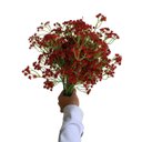 Ver imagem 1 de Kit 15 Hastes Mosquitinho Artificial Vermelho Econômico para Grandes Arranjos