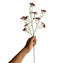 Ver imagem 5 de Kit 15 Hastes Mosquitinho Artificial Vermelho Econômico para Grandes Arranjos