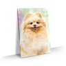 Quadro Cachorro Lulu da Pomerânia Spitz Alemão Arte 60x40 - 1