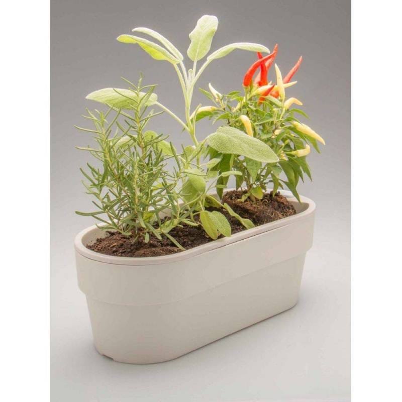 Hortinha Autoirrigável Marsala Linha Plantar - 6