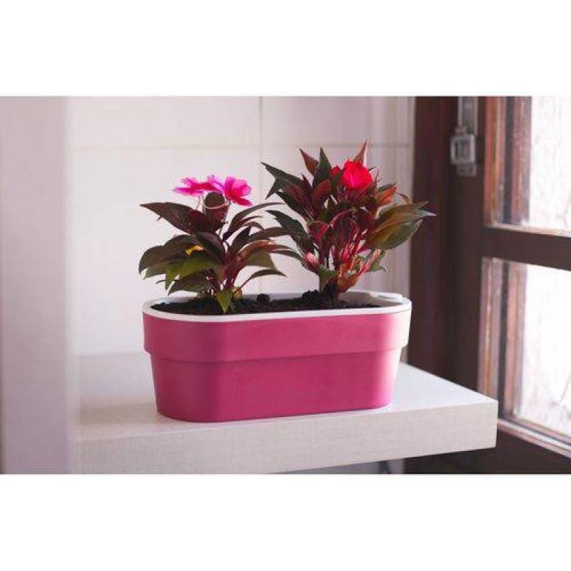 Hortinha Autoirrigável Marsala Linha Plantar - 3