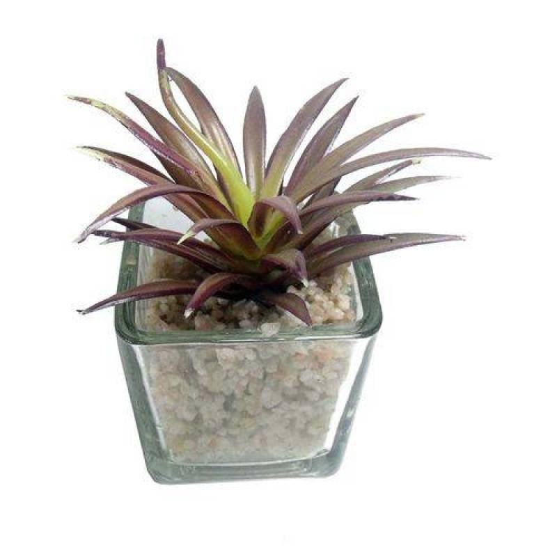 Suculenta Planta Artificial Kit 6 Unidades Festa Decoração (Kit-Bsl-Sh-6) - 4