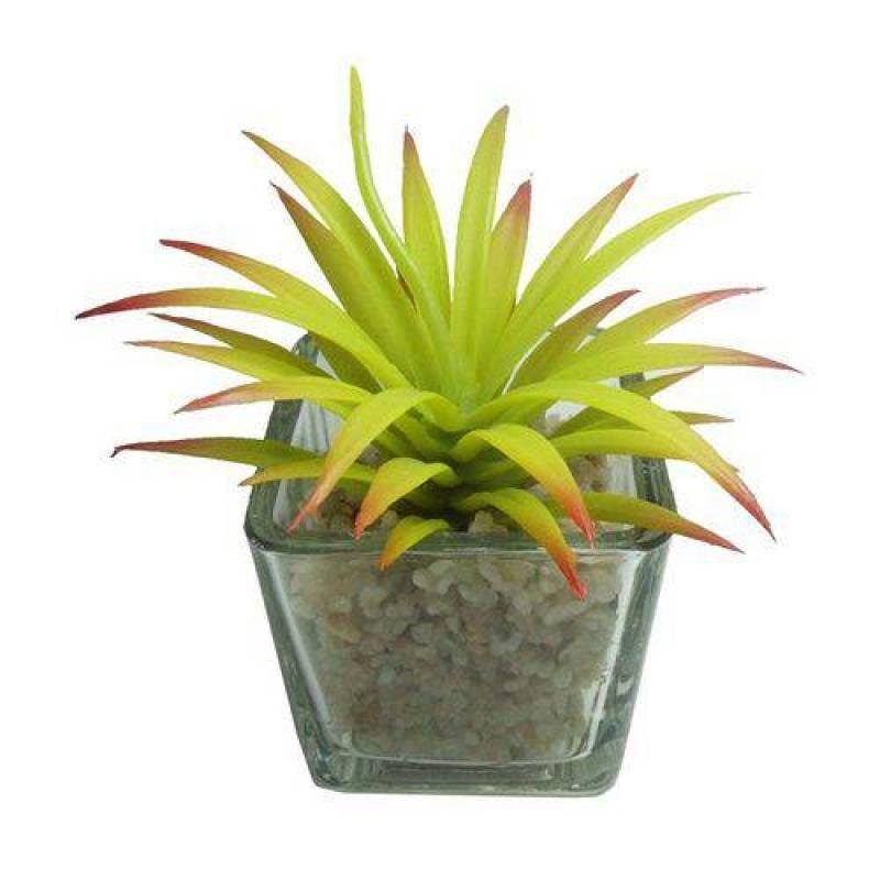 Suculenta Planta Artificial Kit 6 Unidades Festa Decoração (Kit-Bsl-Sh-6) - 1