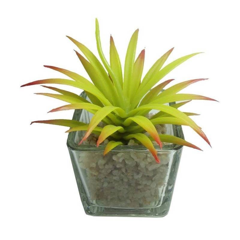 Suculenta Planta Artificial Kit 6 Unidades Festa Decoração (Kit-Bsl-Sh-6) - 5