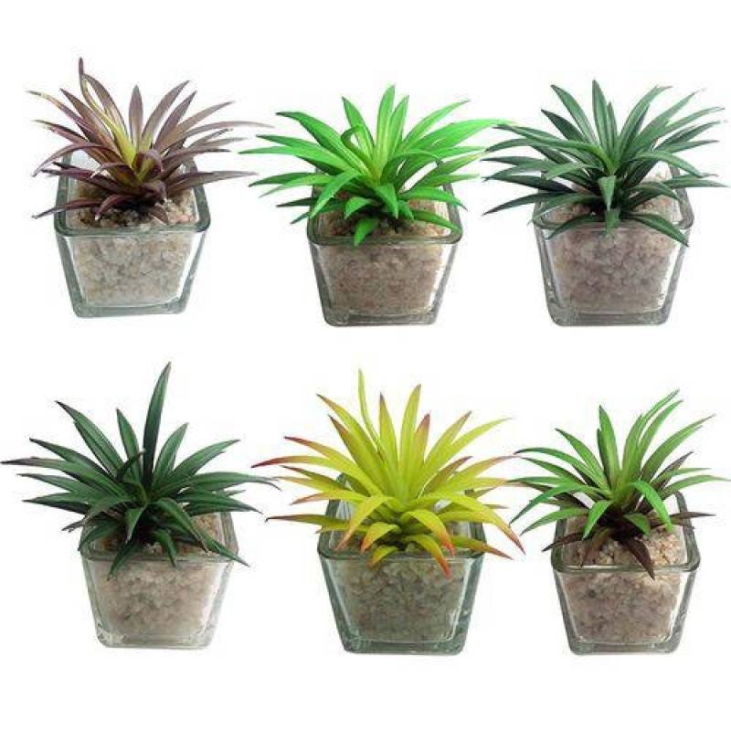 Suculenta Planta Artificial Kit 6 Unidades Festa Decoração (Kit-Bsl-Sh-6) - 3