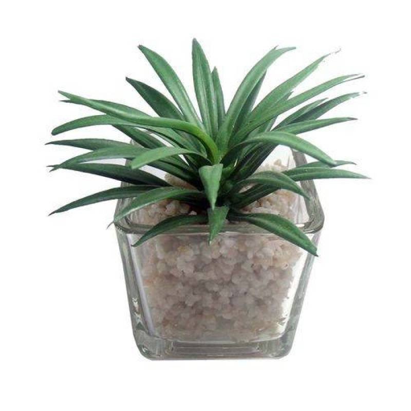 Suculenta Planta Artificial Kit 6 Unidades Festa Decoração (Kit-Bsl-Sh-6) - 2