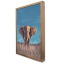 Ver imagem 4 de Quadro Decorativo Elefante em Moldura Caixa Tacolado Moldura Trad 1cm Madeira Escura com Vidro 40 X