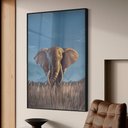 Ver imagem 1 de Quadro Decorativo Elefante em Moldura Caixa Tacolado Moldura Trad 1cm Madeira Escura com Vidro 40 X