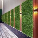 Ver imagem 4 de 20 Placas de Folhagem Mista Premium Samambaia para Jardim Vertical Ambientes Internos Efeito 3d