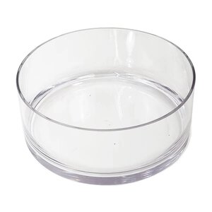 Vaso Redondo Floreira Terrario Cilindro em Vidro Suculentas, Arranjos 24x10cm