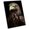 Quadro Decorativo Águia Europeia - 1