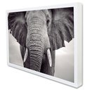 Ver imagem 2 de Quadro Decorativo Elefante Preto e Branco em Moldura Caixa TaColado Moldura Trad 1cm Madeira Escura 