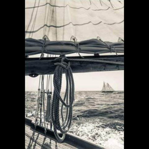 Day At The Cape Canaleta 53x80cm Tabaco