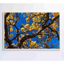 Ver imagem 3 de Quadro Ipê Amarelo em Árvore do Cerrado Medidas 80x120 Cm Tipo de Impressão Vidro Acrílico