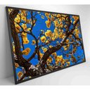 Ver imagem 2 de Quadro Ipê Amarelo em Árvore do Cerrado Medidas 80x120 Cm Tipo de Impressão Vidro Acrílico