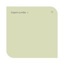 Ver imagem 3 de Tinta Coral Rende Muito Cor Capim Limão 3,2L