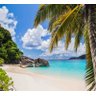 Papel De Parede Paisagem Praia Coqueiro Sol Mar GG465 - 1
