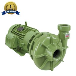Motobomba Centrifuga 1.1/2 Polegada 3cv 220/380/440/760v - 1