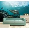 Papel De Parede Paisagem Fundo do Mar Tubarão Peixes GG374 - 2