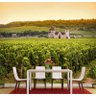Papel De Parede Paisagem Uva Vinhedo Vinho Bebidas GG484 - 2