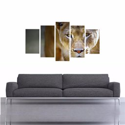 Quadro Impresso Leoa Cultura Africana 160X90 - 5