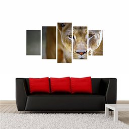 Quadro Impresso Leoa Cultura Africana 160X90 - 1