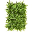 Ver imagem 1 de Kit 20 Placas de Samambaia Eucalipto 40 X 60cm Muro Inglês Jardim Vertical
