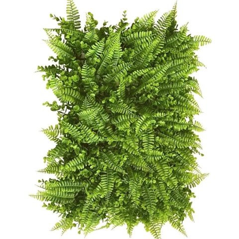 Kit 20 Placas de Samambaia Eucalipto 40 X 60cm Muro Inglês Jardim Vertical