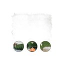 Ver imagem 2 de Kit 20 Placas de Samambaia Eucalipto 40 X 60cm Muro Inglês Jardim Vertical