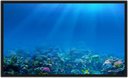 Ver imagem 5 de Quadro Decorativo Fundo Do Mar Oceano Aquário Peixes