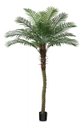 Ver mais imagens de Palmeira Phoenix Artificial com Folhas Grandes Planta 2.30m