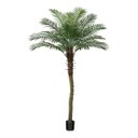 Ver mais imagens de Palmeira Phoenix Artificial com Folhas Grandes Planta 2.30m