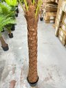Ver imagem 5 de Palmeira Phoenix Artificial com Folhas Grandes Planta 2.30m