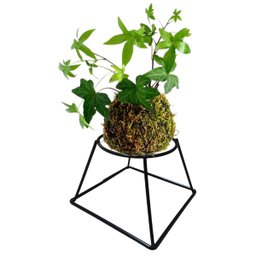 Suporte Torre Pequena Kokedama (10x14x14) Preto Jc Jardim - 7