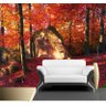 Papel De Parede Paisagem Floresta Natureza Árvores GG259 - 2