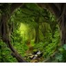 Papel De Parede Paisagem Floresta Estrada Natureza GG598 - 1