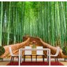 Papel De Parede Natureza Floresta Bambu Japão Completo GG585 - 2