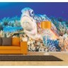 Papel De Parede Paisagem Tartaruga Mar Animais GG575 - 2