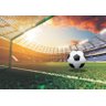 Papel De Parede Auto Adesivo Futebol Bola Gol Jogo GG136 - 1