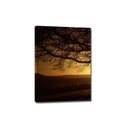 Ver imagem 2 de Quadro 75x150cm Árvore Por Sol Decorativo