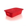 Caixa Organizadora com Tampa 30x20 Vermelho ou - 1