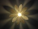 Ver imagem 1 de Luminária Teto Tipo Pendente em Mdf - Completa