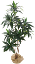 Ver imagem 1 de Arvore Planta Artificial Dracena 160cm Folhas Verde