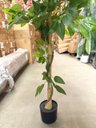 Ver imagem 4 de Arvore Artificial Ficus Planta Realista Decoração Sala 1.40m, Plantas Artificiais.