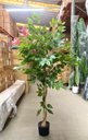 Ver imagem 2 de Arvore Artificial Ficus Planta Realista Decoração Sala 1.40m, Plantas Artificiais.