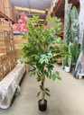 Ver imagem 5 de Arvore Artificial Ficus Planta Realista Decoração Sala 1.40m, Plantas Artificiais.