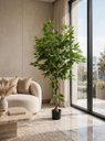 Ver imagem 1 de Arvore Artificial Ficus Planta Realista Decoração Sala 1.40m, Plantas Artificiais.
